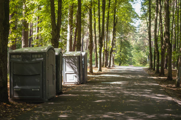 Best Porta potty rental near me  in Poncha Springs, CO